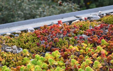 the cost of Path Of Condie green roof installation