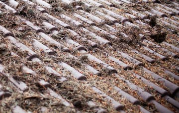 Path Of Condie roof cleaning companies