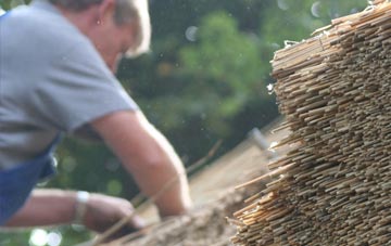 professional Path Of Condie thatchers