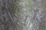 Path Of Condie fibreglass roof work